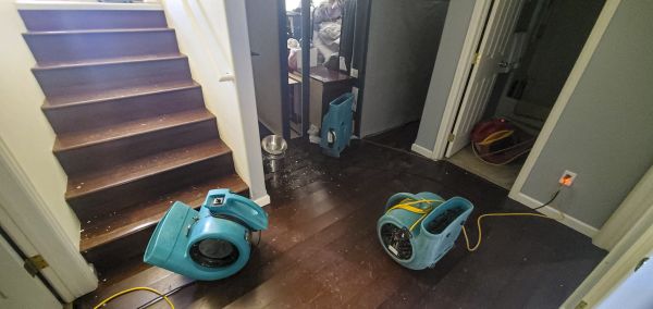 Cost of Water Damage Remediation in Minneapolis